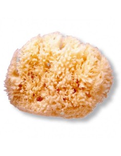 SUAVINEX ESPONJA NATURAL