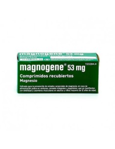 MAGNOGENE 45 COMPRIMIDOS RECUBIERTOS