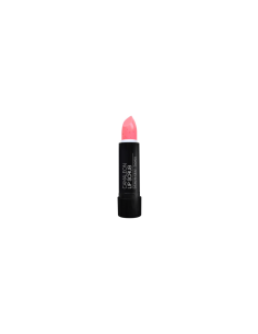 CAMALEON LIP SCRUB FRESA 4 G