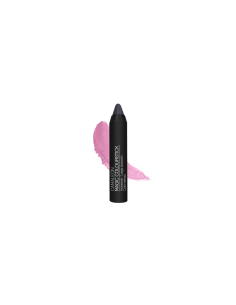 CAMALEON MAGIC COLOUR STICK LABIAL GRIS CENIZA 4G
