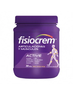 FISIOCREM ARTICULACIONES Y MÚSCULOS 540 G