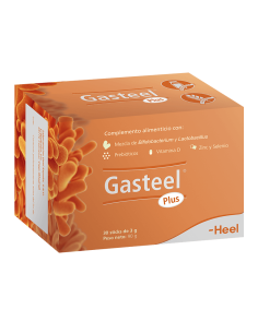 GASTEEL PLUS 30 STICKS