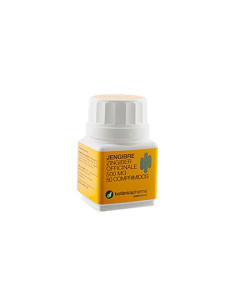 JENGIBRE BOTANICAPHARMA 500 MG 60 COMPRIMIDOS