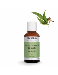 PRANAROM ACEITE ESENCIAL EUCALIPTO RADIATA BIO 30 ML