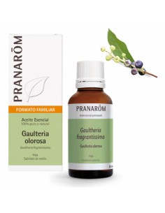 PRANAROM ACEITE ESENCIAL GAULTERIA OLOROSA BIO 30 ML