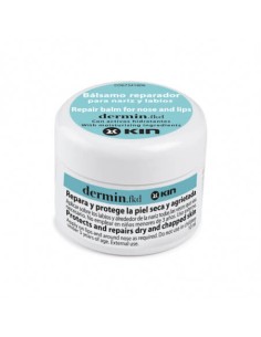 DERMIN FKD BALSAMO REPARADOR PARA NARIZ Y LABIOS 1 ENVASE 10 ML