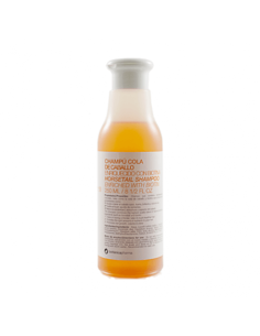 BOTANICAPHARMA CHAMPU COLA DE CABALLO Y BIOTINA 250 ML