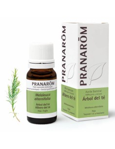 PRANAROM ACEITE ESENCIAL ARBOL DEL TE 10 ML