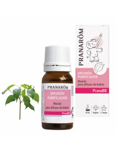 PRANABB DIFUSION PURIFICADOR MEZCLA 10ML