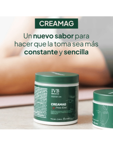 IVB CREAMAG FRESA-KIWI 300G