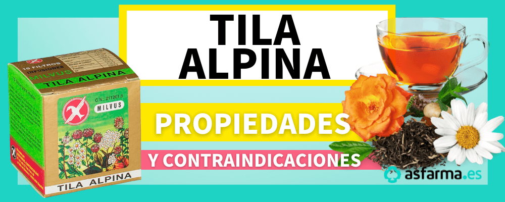 Tila Alpina – Entre-Tés