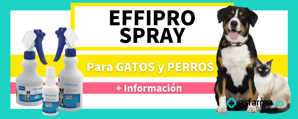 Effipro spray cutaneo perros y gatos