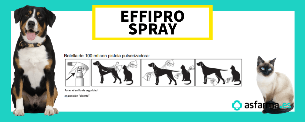 effipro spray gatos y perros como aplicar envase con pistola pulverizadora de 100 ml