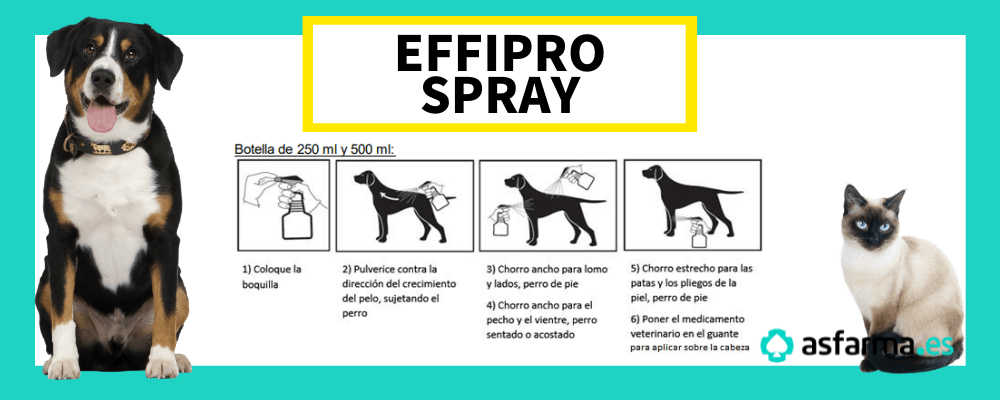 Eppifro spray gatos y perros como aplicar