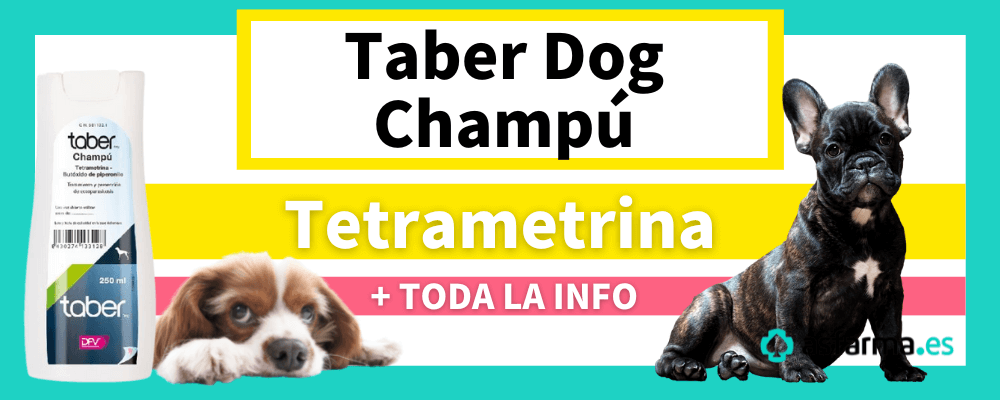 Taber dog champú tetrametrina perros